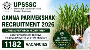 UPSSSC Cane Supervisor Recruitment 2026